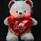 Valentine's Teddy Bear Gift (Red)